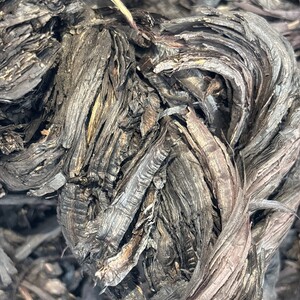 عشبة الخواء جواء الحمراء