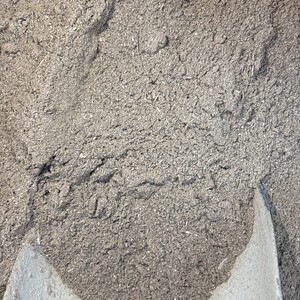 قسط هندي مطحون/ عود